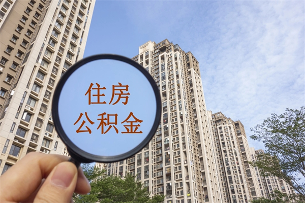 儋州公积金提取中介（儋州公积金提取中介联系方式）